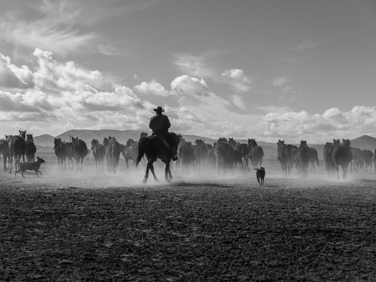 Get Back in the&nbsp;Saddle